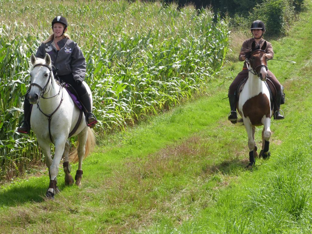 Gite Et Relais Equestre De Marie Tours-en-Vimeu Εξωτερικό φωτογραφία