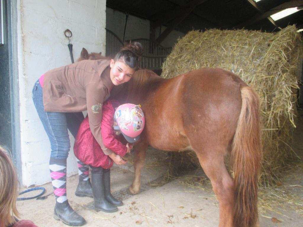 Gite Et Relais Equestre De Marie Tours-en-Vimeu Εξωτερικό φωτογραφία