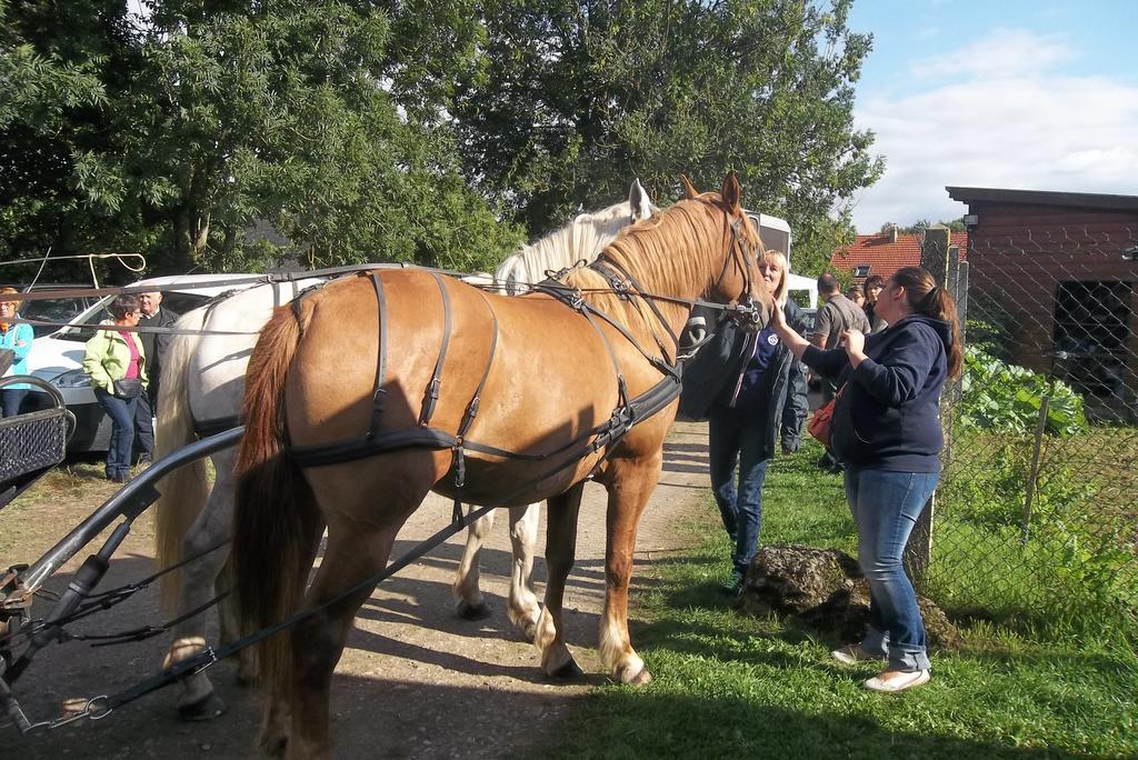 Gite Et Relais Equestre De Marie Tours-en-Vimeu Δωμάτιο φωτογραφία
