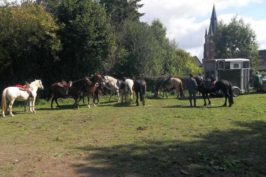 Gite Et Relais Equestre De Marie Tours-en-Vimeu Εξωτερικό φωτογραφία