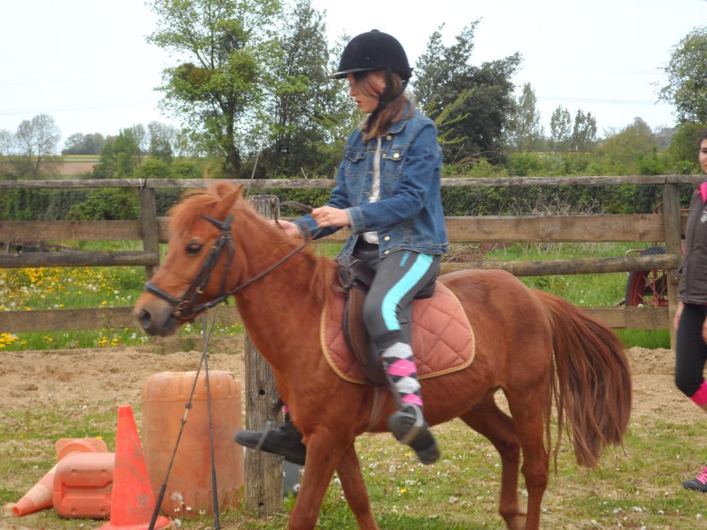 Gite Et Relais Equestre De Marie Tours-en-Vimeu Δωμάτιο φωτογραφία