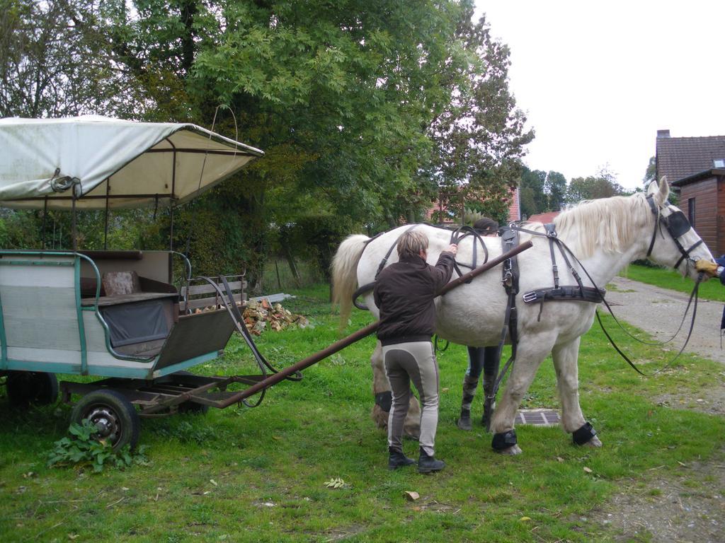 Gite Et Relais Equestre De Marie Tours-en-Vimeu Δωμάτιο φωτογραφία