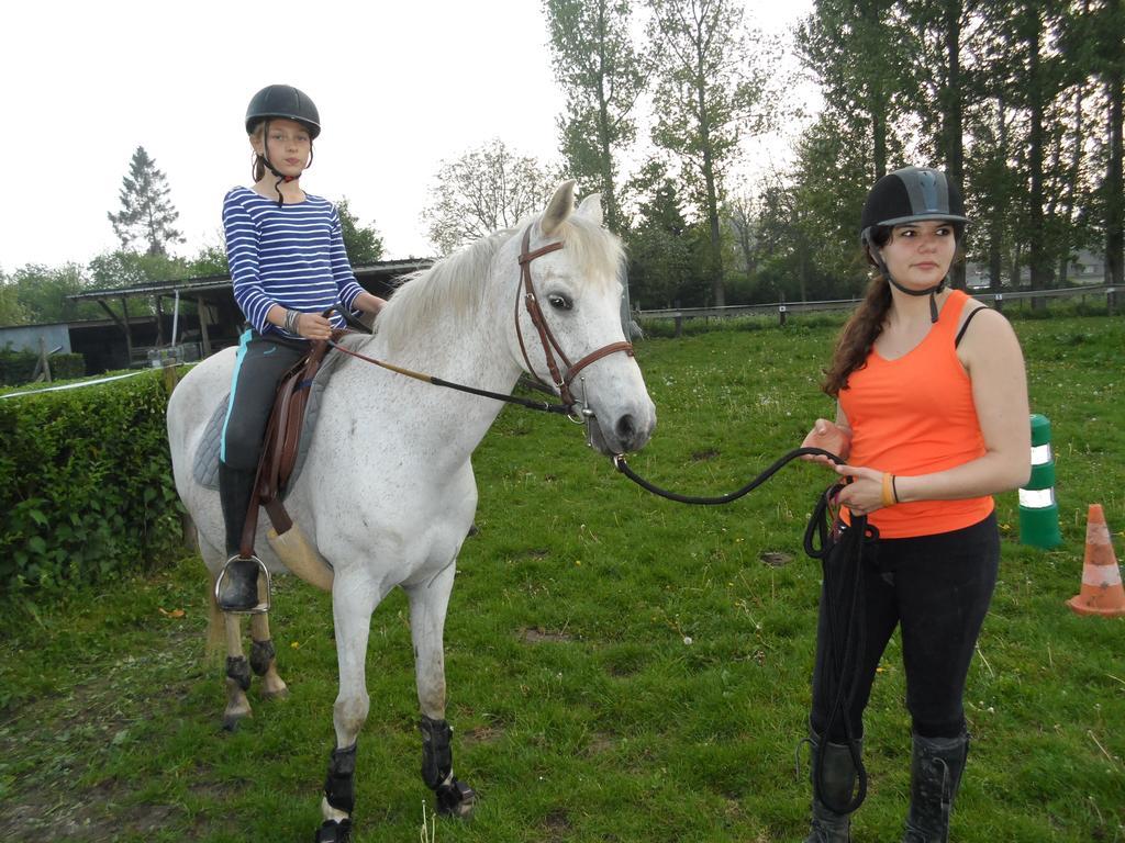Gite Et Relais Equestre De Marie Tours-en-Vimeu Δωμάτιο φωτογραφία
