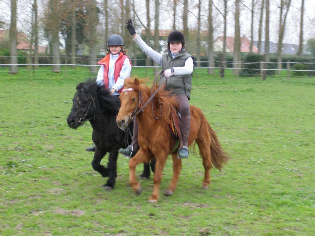 Gite Et Relais Equestre De Marie Tours-en-Vimeu Δωμάτιο φωτογραφία