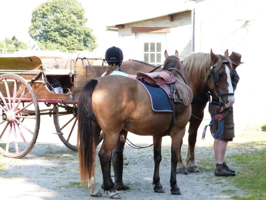 Gite Et Relais Equestre De Marie Tours-en-Vimeu Δωμάτιο φωτογραφία
